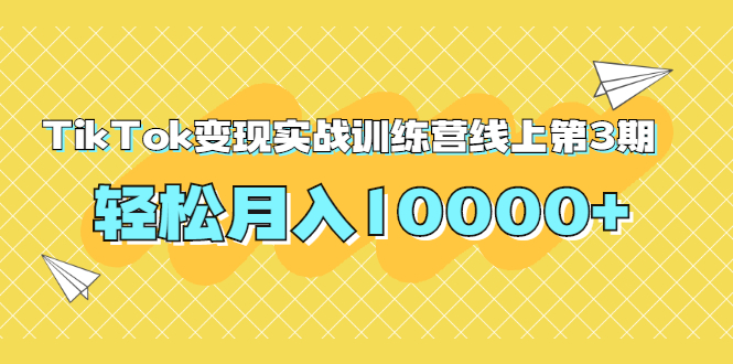 龟课TikTok变现实战训练营线上第3期，轻松月入10000+插图