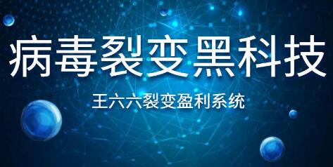 王六六裂变盈利系统课程第六课，病毒裂变黑科技插图