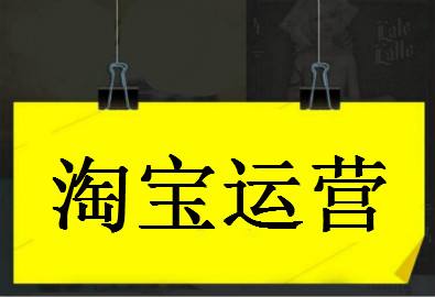 2020年零基础淘宝SEO运营实战，大数据时代精细化运营流程插图