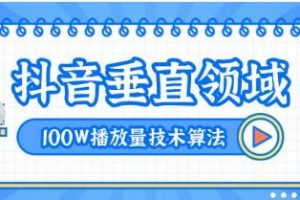 2020抖音垂直领域内训课程，100W播放量热门技术推荐算法（完结）