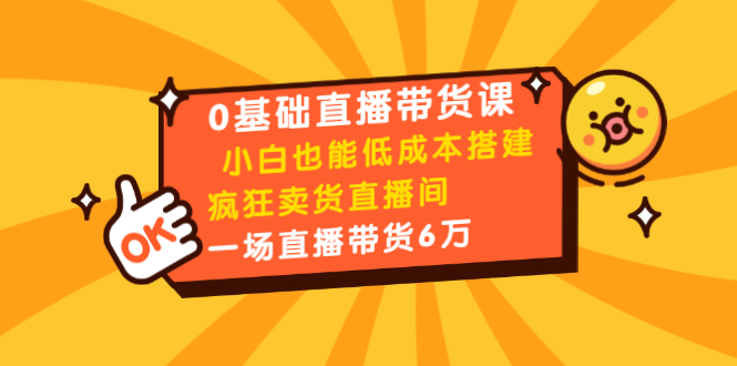 0基础直播带货课：小白也能低成本搭建疯狂卖货直播间：1场直播带货6万插图