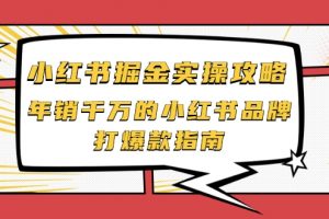 小红书掘金实操攻略，年销千万的小红书品牌打爆款指南