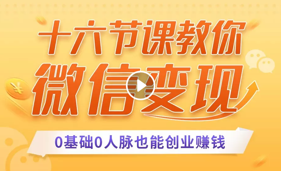 十六节课教你零基础微信变现，用单品打爆市场，每月收入超过10万+插图