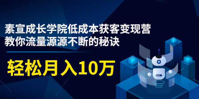 素宣成长学院低成本获客变现营，教你流量源源不断的秘诀，轻松月入10万插图