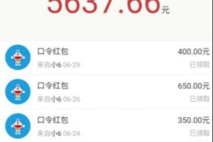 圣矾价值1200元付费担保项目：QQ挂机被动引流变现赚钱