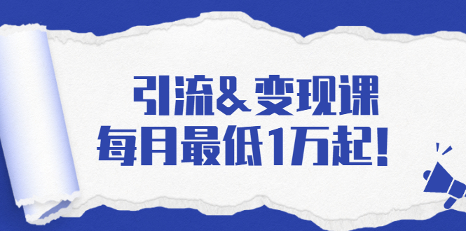 引流&变现课：分享一整套流量方法以及各个渠道收入，每月最低1万起！插图