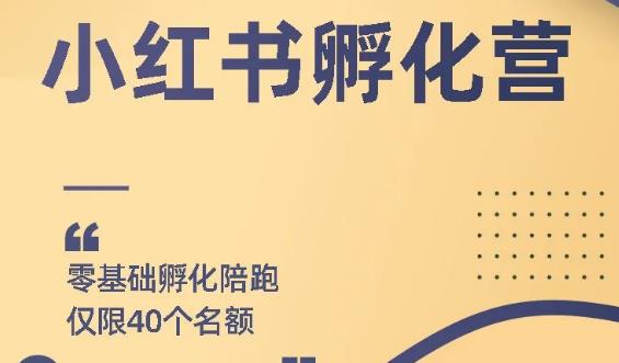 勇哥小红书撸金快速起量项目：教你如何快速起号获得曝光，做到月躺赚在 3000+插图