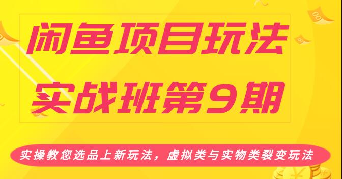 闲鱼项目玩法实战班第9期（二）选品四步骤与四种变现方法，引流到微信方法插图