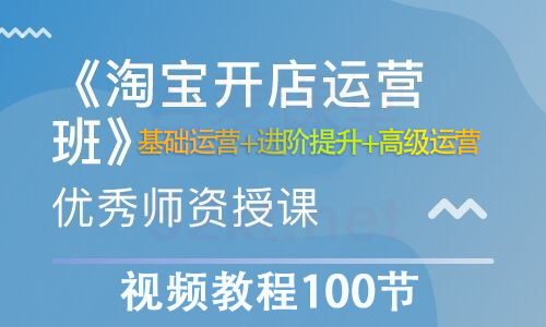 淘宝开店营运视频教程100节从基础运营+进阶提升+高级运营插图