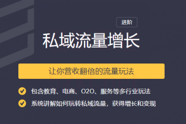 2020私域流量增长让你营收翻倍的流量课程插图