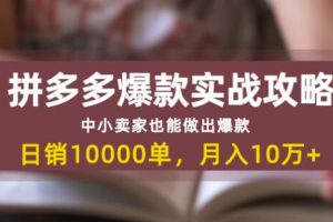 拼多多爆款实战攻略：中小卖家也能做出爆款，日销10000单月入10w+