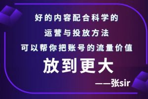 张sir账号流量增长课，告别海王流量，让你的流量更精准