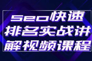 seo快速排名实战讲解视频课程，揭秘seo快排原理