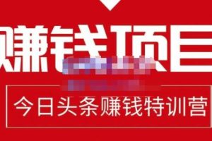 懒人领域·今日头条项目玩法，头条中视频项目，单号收益在50—500可批量