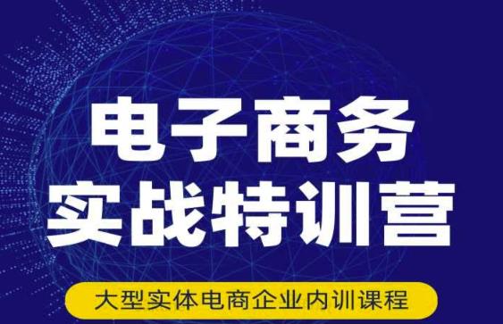 民赛电气内部出品：电子商务实战特训营，全方位带你入门电商，308种方式玩转电商插图