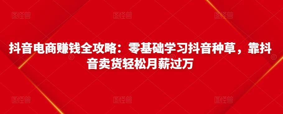 抖音电商赚钱全攻略：零基础学习抖音种草，靠抖音卖货轻松月薪过万插图