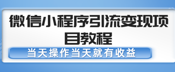 微信小程序引流变现项目教程，当天操作当天就有收益，变现不再是难事插图