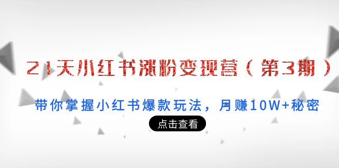 21天小红书涨粉变现营（第3期）：带你掌握小红书爆款玩法，月赚10W+秘密插图