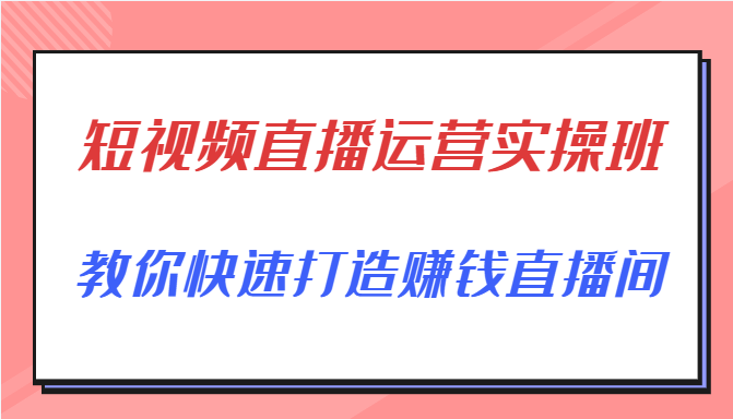 短视频直播运营实操班，直播带货精细化运营实操，教你快速打造赚钱直播间插图