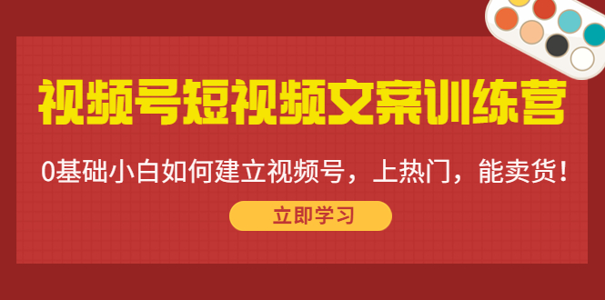 视频号短视频文案训练营：0基础小白如何建立视频号，上热门，能卖货！插图