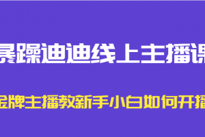 暴躁迪迪线上主播课，金牌主播教新手小白如何开播