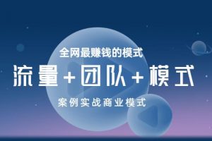 王冲老师《流量+团队+模式》商业模式实战课，全网最赚钱的模式