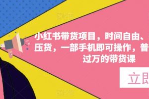 小红书带货项目，时间自由、零门槛无压货，一部手机即可操作，普通人月收过万的带货课