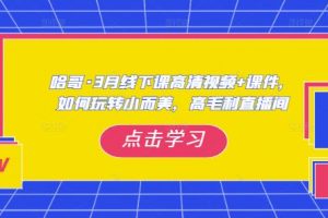 哈哥·3月线下实操课高清视频+课件，如何玩转小而美，高毛利直播间