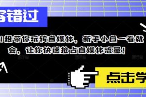 11招带你玩转自媒体，新手小白一看就会，让你快速抢占自媒体流量！