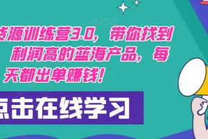 闲鱼无货源训练营3.0，带你找到竞争小，利润高的蓝海产品，每天都出单赚钱！