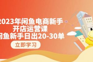 2023年闲鱼电商新手开店运营课：闲鱼新手日出20-30单（18节-实战干货）