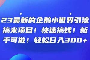 23最新的企鹅小世界引流搞米项目！快速搞钱！新手可做！轻松日入300+【揭秘】