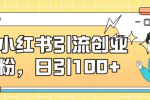 小红书引流创业粉，日引100+【揭秘】