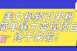 价值3980的男粉暴力引流变现项目，一部手机简单操作，新手小白轻松上手，每日收益500+【揭秘】