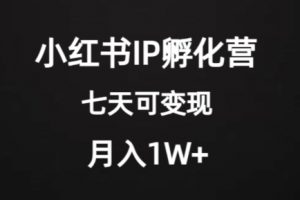 价值2000+的小红书IP孵化营项目，超级大蓝海，七天即可开始变现，稳定月入1W+