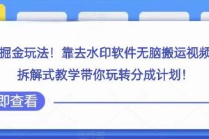 视频号高级掘金玩法，靠去水印软件无脑搬运视频日入500+，拆解式教学带你玩转分成计划【揭秘】