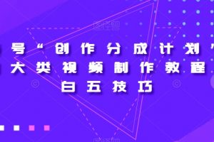 视频号“创作分成计划”2.0四大类视频制作教程+小白五技巧【揭秘】