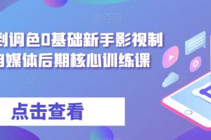 从剪辑到调色0基础新手影视制作，自媒体后期核心训练课