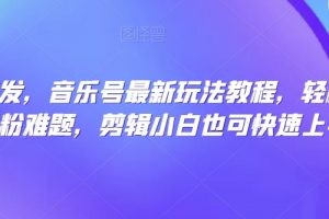 全网首发，音乐号最新玩法教程，轻松解决涨粉难题，剪辑小白也可快速上手