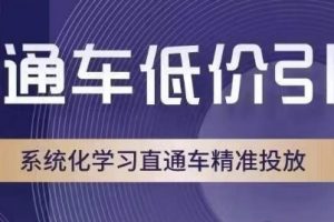 直通车低价引流课，系统化学习直通车精准投放