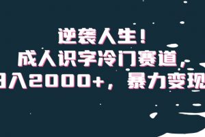 逆袭人生！成人识字冷门赛道，日入2000+，暴力变现！【揭秘】