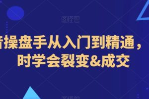 抖音操盘手从入门到精通，3小时学会裂变&成交