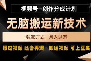 视频号无脑搬运新技术，破原创壕流量，独家方式，爆过视频，还会再爆【揭秘】