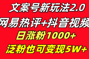 文案号新玩法 网易热评+抖音文案 一天涨粉1000+ 多种变现模式 泛粉也可变现