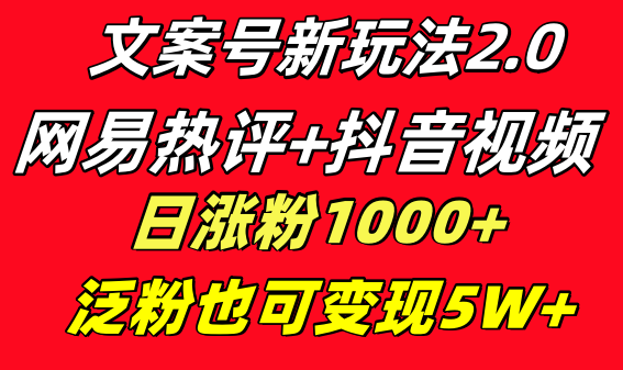 文案号新玩法 网易热评+抖音文案 一天涨粉1000+ 多种变现模式 泛粉也可变现插图