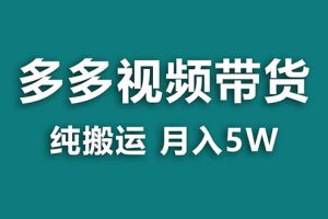 【蓝海项目】拼多多视频带货 纯搬运一个月搞了5w佣金，小白也能操作 送工具