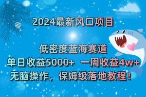 2024最新风口项目 低密度蓝海赛道，日收益5000+周收益4w+ 无脑操作，保…