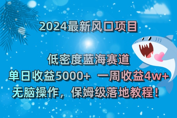 2024最新风口项目 低密度蓝海赛道，日收益5000+周收益4w+ 无脑操作，保…插图