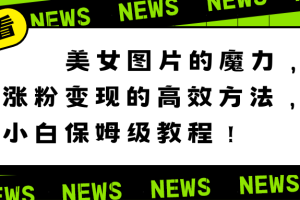 美女图片的魔力，涨粉变现的高效方法，小白保姆级教程！