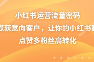 小红书运营流量密码，揽获意向客户，让你的小红书高点赞多粉丝高转化